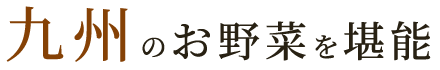 九州のお野菜を堪能