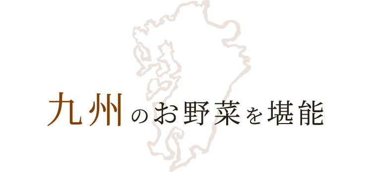 九州のお野菜を堪能